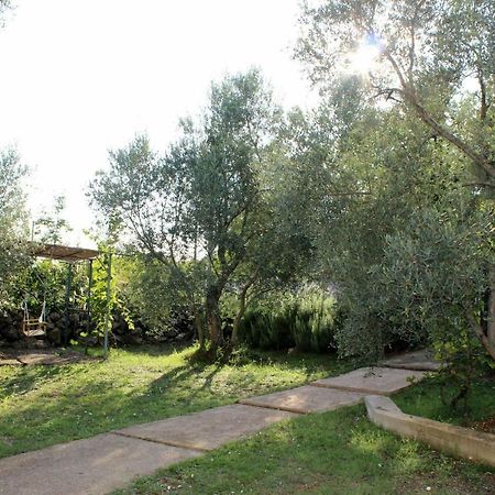 Turkovic Apartments Zgaljic Εξωτερικό φωτογραφία