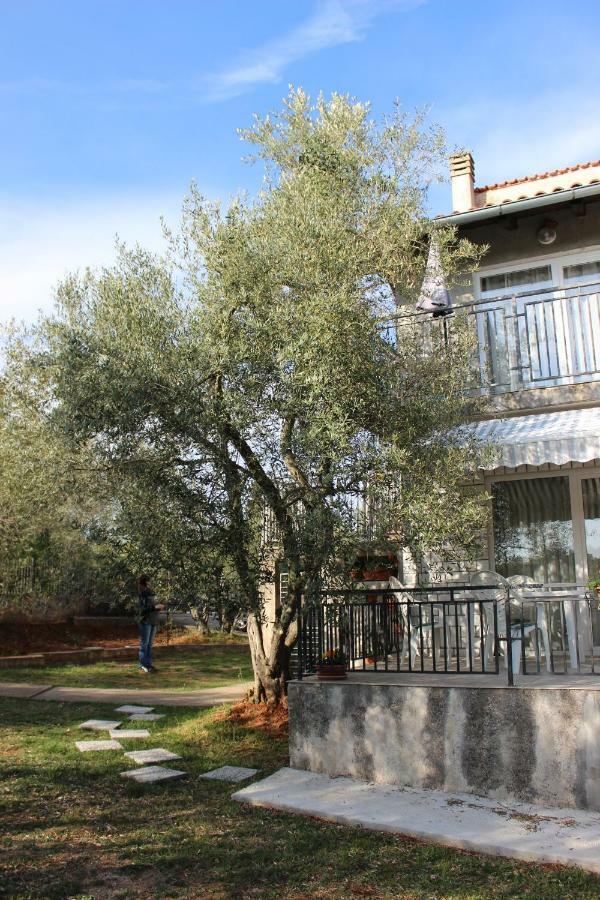 Turkovic Apartments Zgaljic Εξωτερικό φωτογραφία